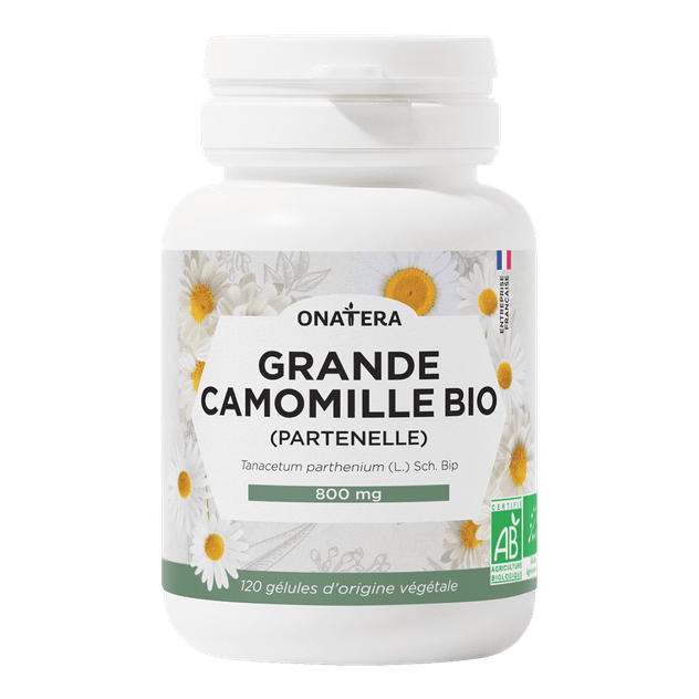 Grande Camomille Bio (Partenelle)