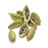 Cardamome