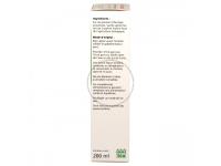 Plantain Suc frais Bio