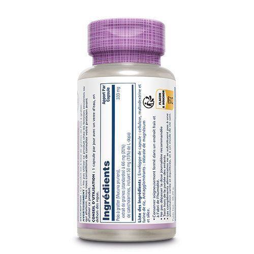 Pois à gratter Mucuna pruriens