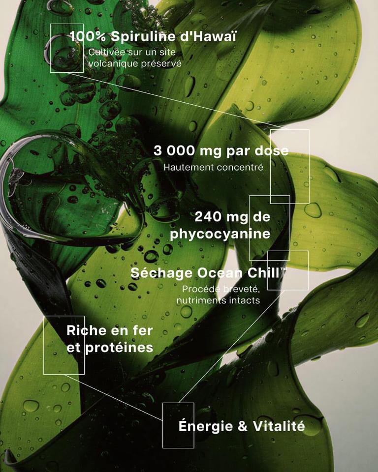 Spiruline d'Hawaï Ultra