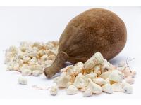 Baobab en poudre Bio
