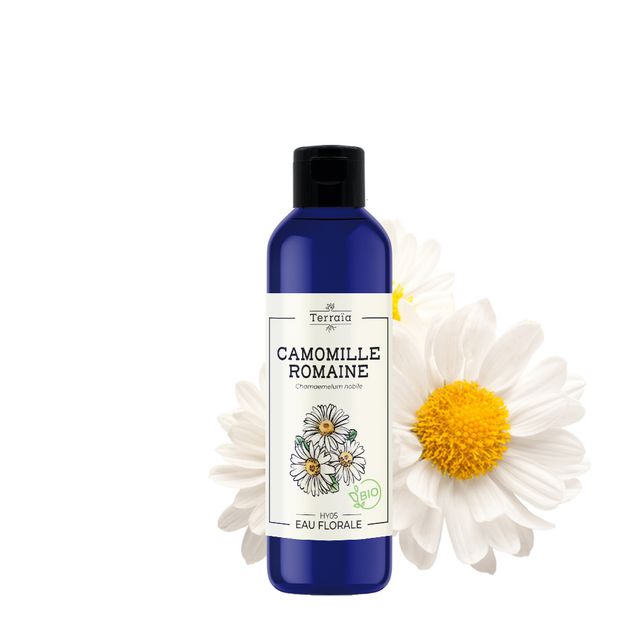 Eau florale Camomille romaine Bio