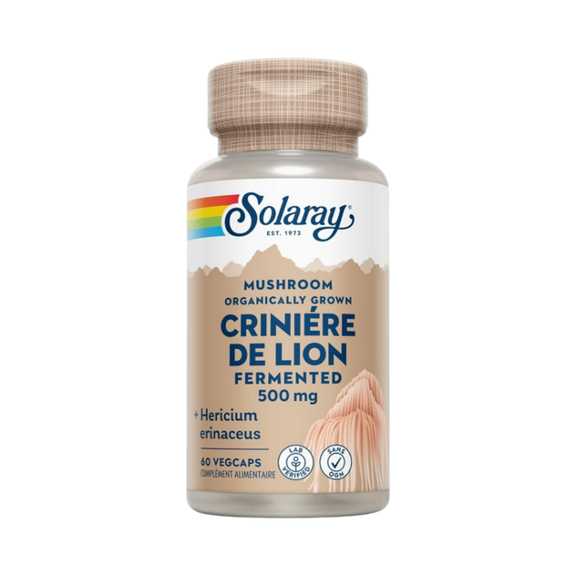Crinière de Lion