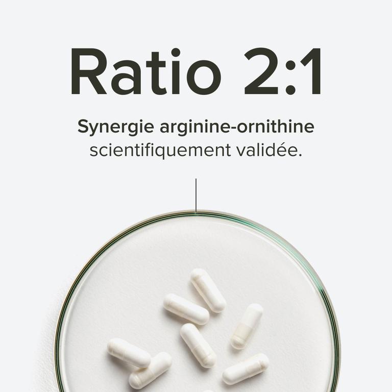 L-arginine AKG L-ornithine 500 mg / 250 mg