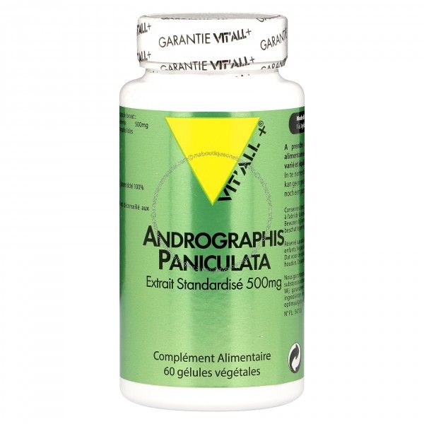 Andrographis 500mg