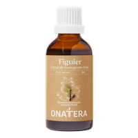 Figuier Bourgeons Bio