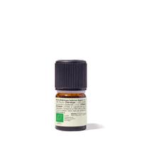 Huile essentielle Hélichryse italienne Bio