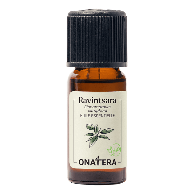 Huile essentielle Ravintsara Bio