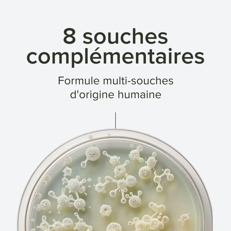 Complexe Probiotiques 8