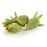 Cardamome