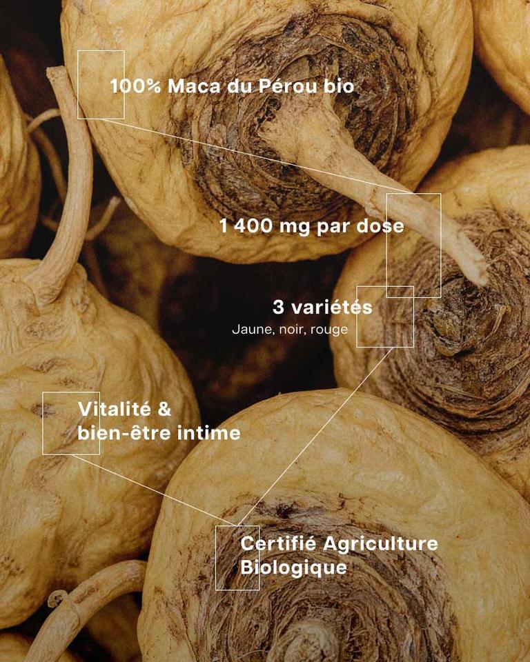 Maca du Pérou Bio
