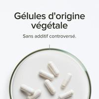 BCAA 2:1:1 vegan