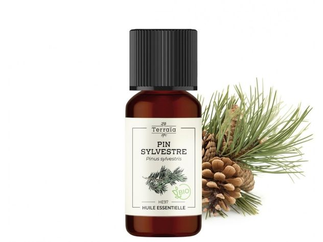 Huile essentielle Pin sylvestre Bio