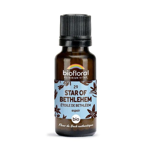 Fleur de Bach Star Of Bethlehem n° 29 granules Bio