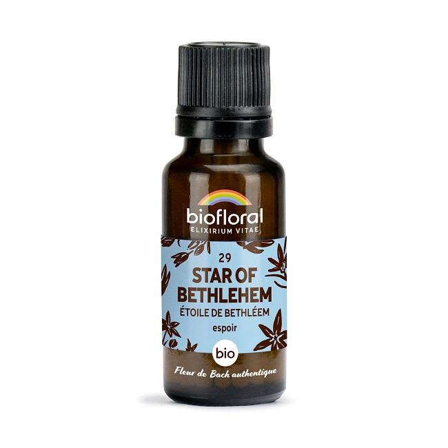 Fleur de Bach Star Of Bethlehem n° 29 granules Bio