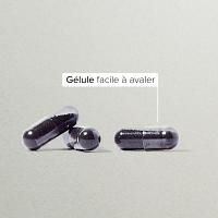 Charbon végétal super activé
