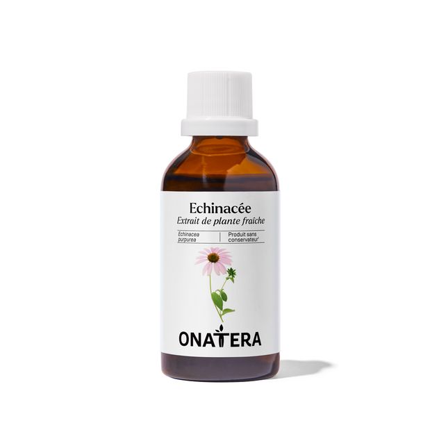 Echinacée Bio Extrait de plante fraîche