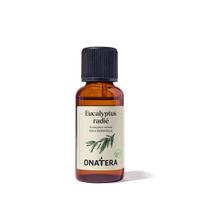 Huile essentielle Eucalyptus radié Bio (radiata)