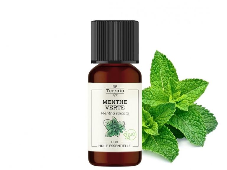 Huile essentielle Menthe verte Bio