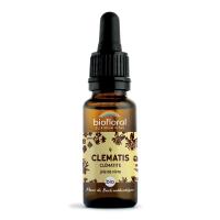Fleur de Bach Clematis N°9 Bio