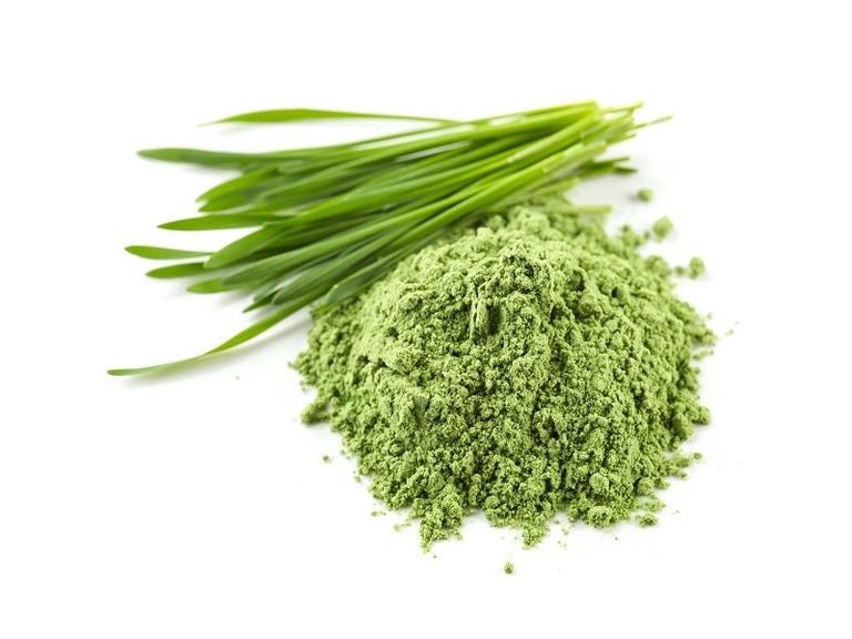 Herbe d'orge en poudre Bio