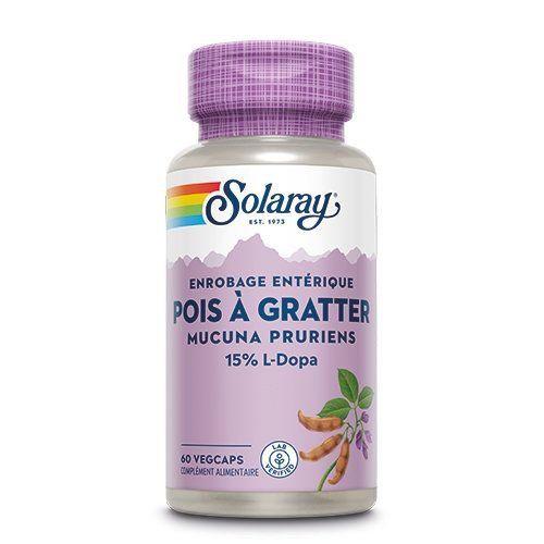 Pois à gratter Mucuna pruriens