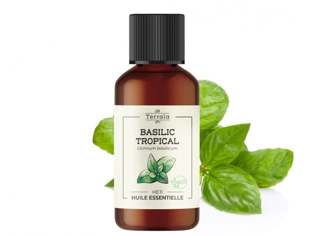 Huile essentielle Basilic tropical Bio