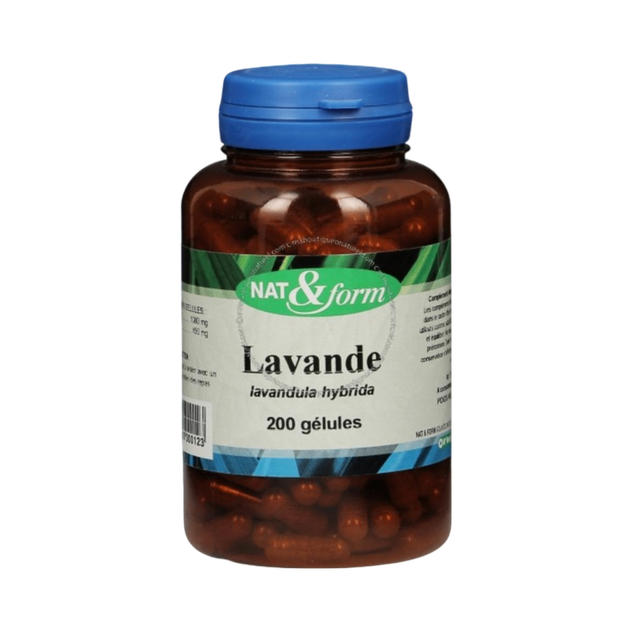 Lavande