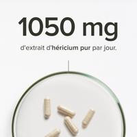 Héricium bio