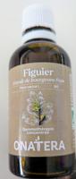 Figuier Bourgeons Bio