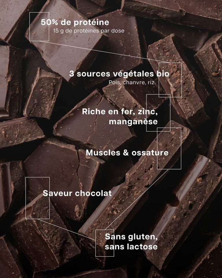 Protéines Bio Vegan Chocolat