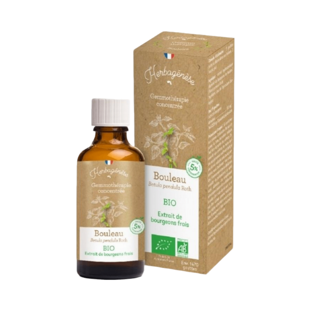 Bouleau Bourgeons Bio