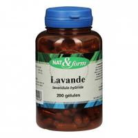 Lavande