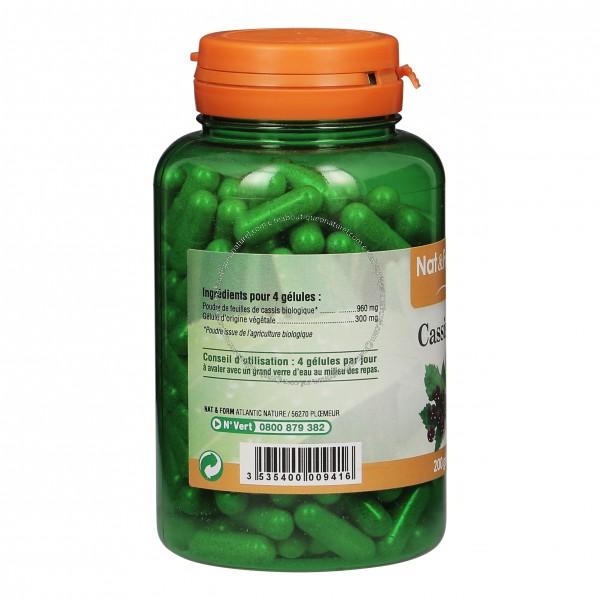 Cassis Bio