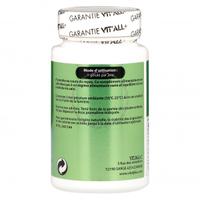 Vitex Gattilier Bio 200 mg