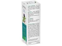 Eleuthérocoque Bio Extrait de plante fraîche