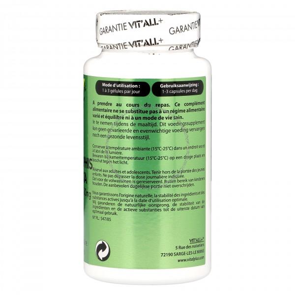 Andrographis 500mg
