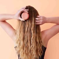 Le Shampoing Solide Douceur Cheveux Secs & Colorés