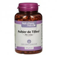 Aubier de tilleul