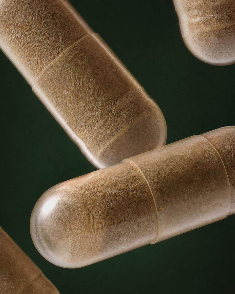 Rhodiola titrée 800 mg