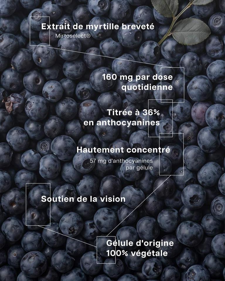 Myrtille Super Extrait titré