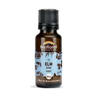 Fleur de Bach Elm n° 11 granules Bio