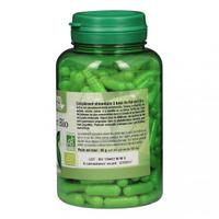 Thé Vert Bio