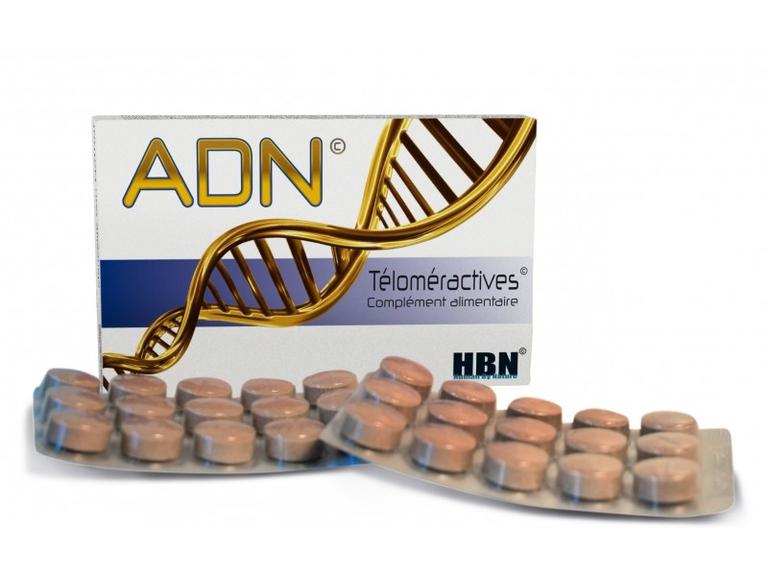 ADN téloméractives