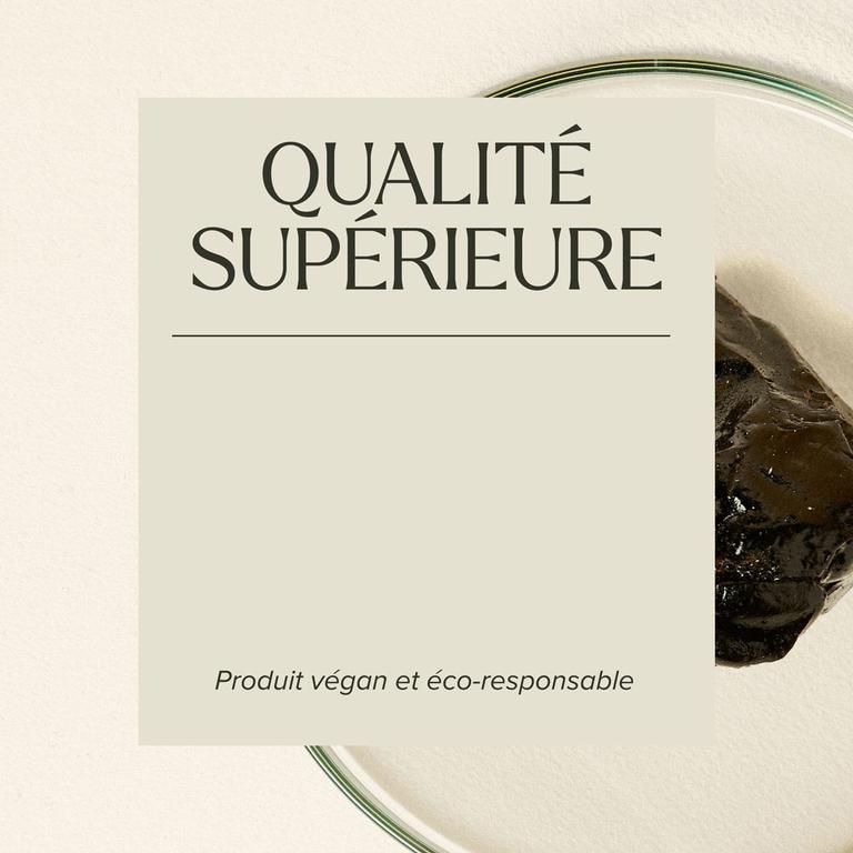 Shilajit premium 50%