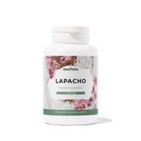Lapacho