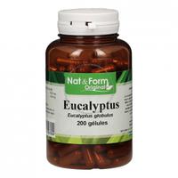 Eucalyptus