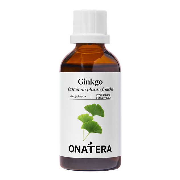 Ginkgo Biloba Bio Extrait de plante fraîche