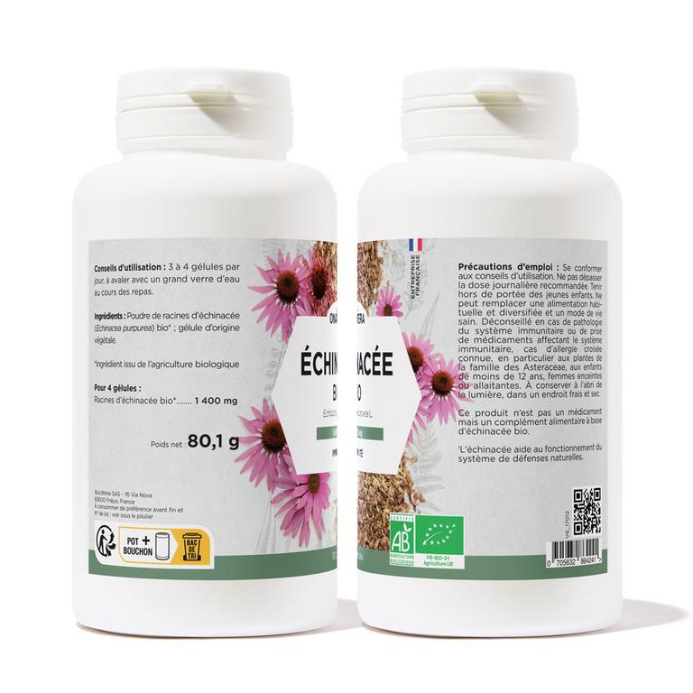 Echinacée Bio